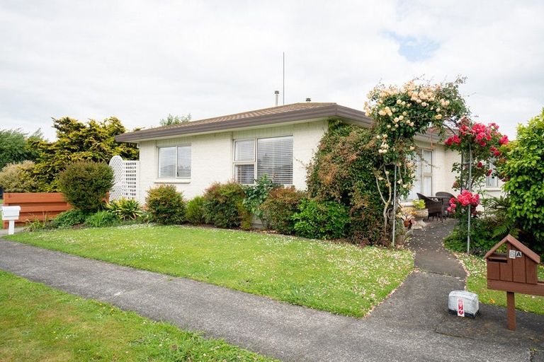 Photo of property in 6 Edwards Place, Terrace End, Palmerston North, 4410