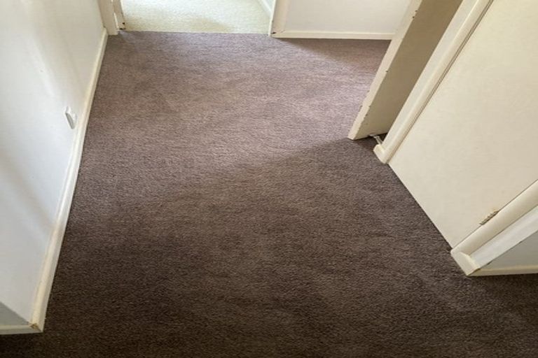 Photo of property in 68 Galloway Street, Hamilton East, Hamilton, 3216