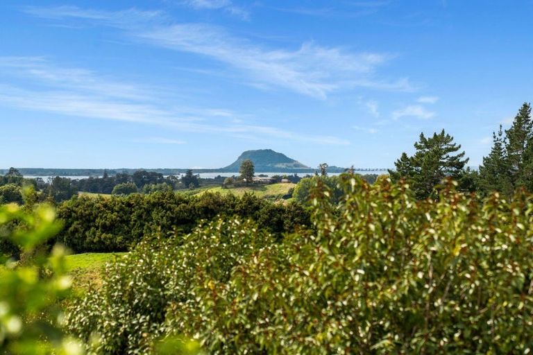 Photo of property in 233 Waipapa Block Road, Whakamarama, Tauranga, 3180