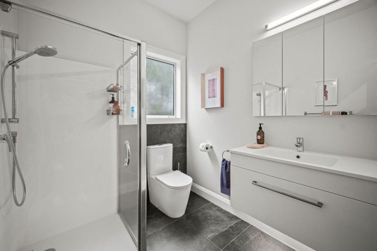 Photo of property in 21 Lloyd Avenue, Mount Albert, Auckland, 1025