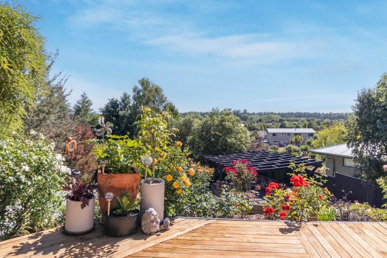 Photo of property in 19 Ameer Street, Pleasant Point, 7903