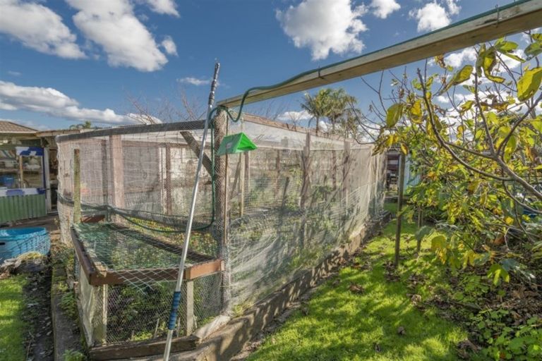 Photo of property in 33 Cook Drive, Whitianga, 3510