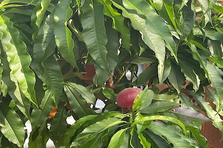 Photo of property in 37 Grey Street, Shannon, 4821