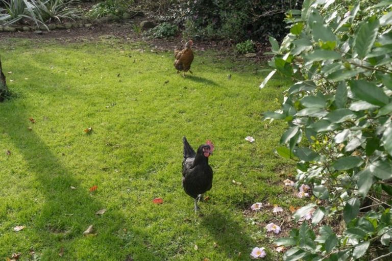 Photo of property in 195 Gordon Street, Lansdowne, Masterton, 5810
