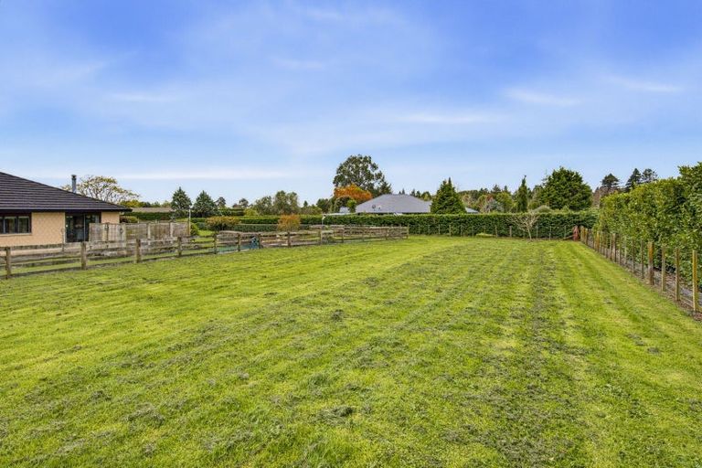 Photo of property in 53 Pohutukawa Drive, Levin, 5571
