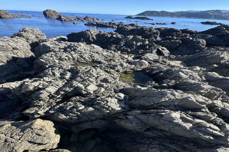 Photo of property in 50 Moa Point Road, Moa Point, Wellington, 6022