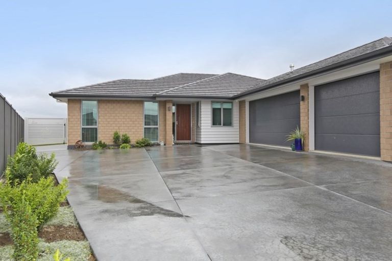 Photo of property in 20 Lochhead Street, Mahora, Hastings, 4120