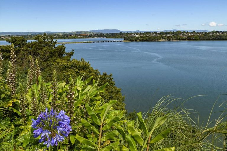 Photo of property in 43 Vine Avenue, Maungatapu, Tauranga, 3112