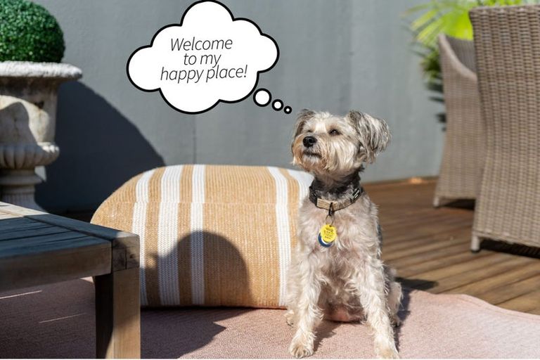 Photo of property in 1/5 Nelson Avenue, Northcote Point, Auckland, 0627