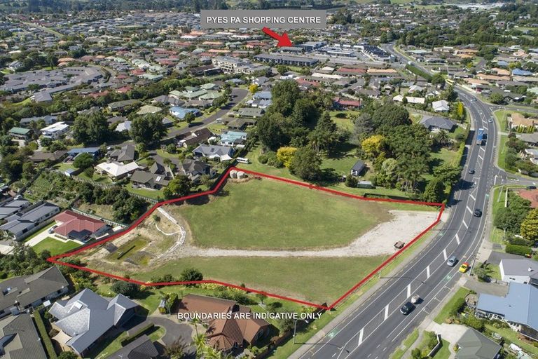 Photo of property in 49 Pyes Pa Road, Pyes Pa, Tauranga, 3112