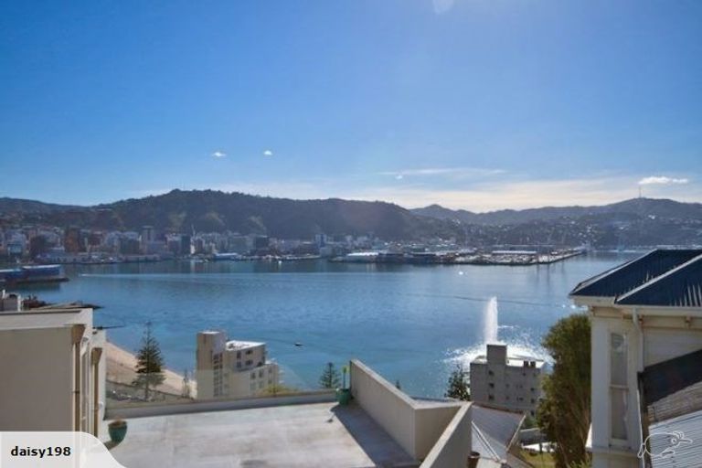 Photo of property in 24 Telford Terrace, Oriental Bay, Wellington, 6011