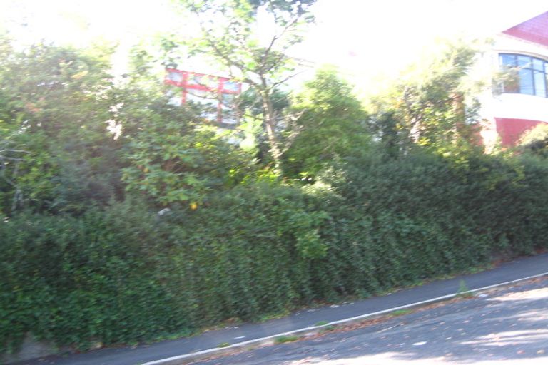 Photo of property in 51 Mechanic Street, North East Valley, Dunedin, 9010