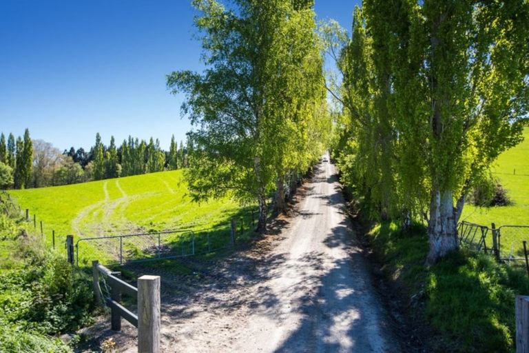 Photo of property in Wairongoa Springs, 287 Wairongoa Road, North Taieri, Mosgiel, 9092