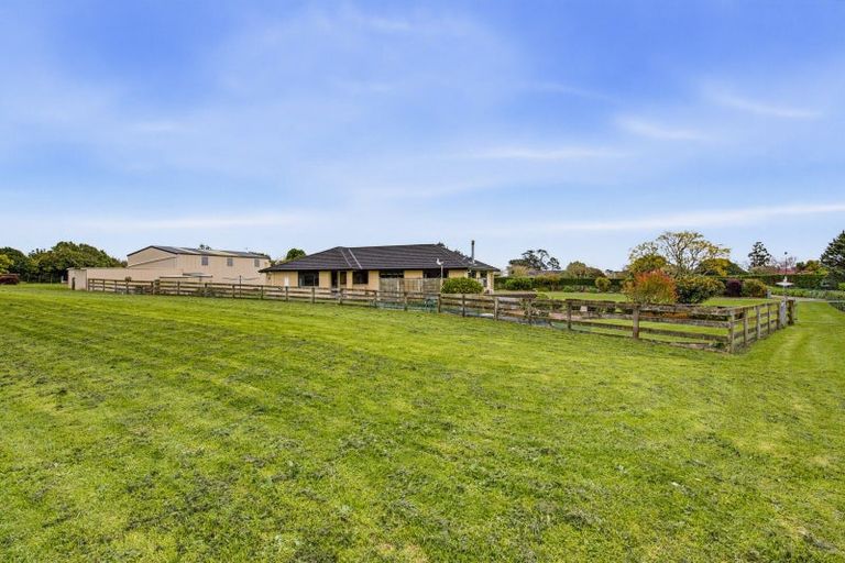 Photo of property in 53 Pohutukawa Drive, Levin, 5571
