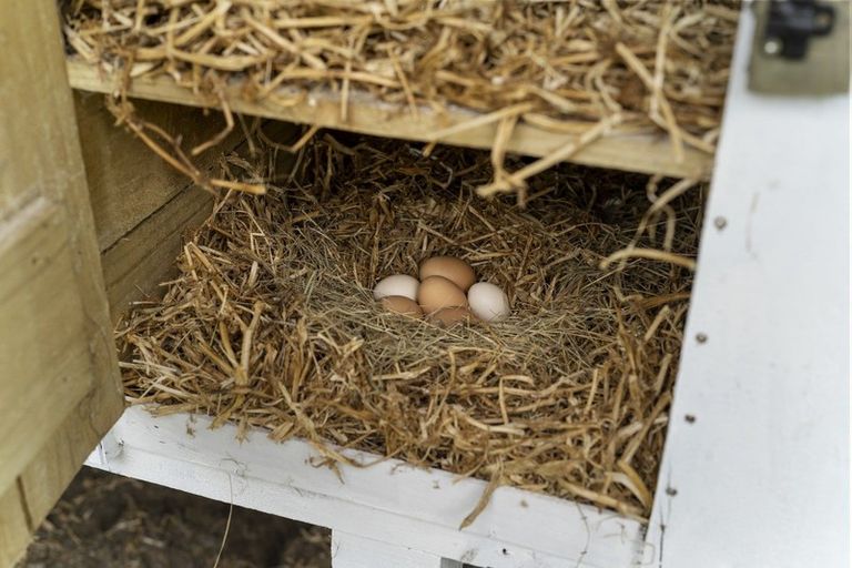 Photo of property in 44 Blackberry Way, Welcome Bay, Tauranga, 3175