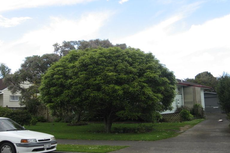 Photo of property in 80 John Walker Drive, Manurewa, Auckland, 2102
