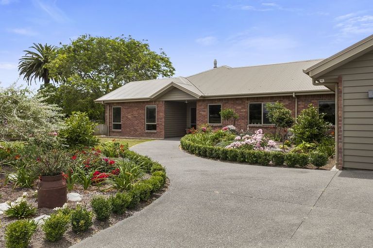 Photo of property in 165 Buckland Road, Matamata, 3472