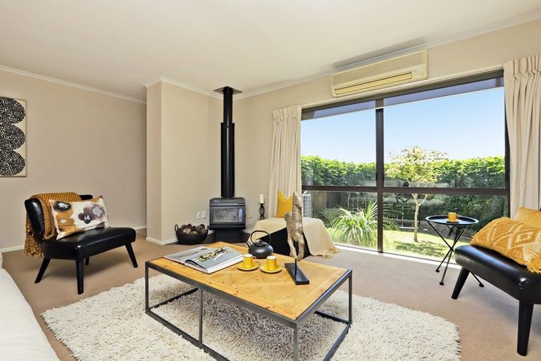 Photo of property in 16a Mchardy Street, Havelock North, 4130