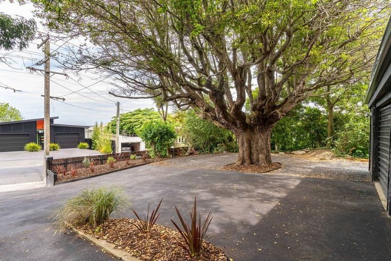 Photo of property in 22 Neidpath Road, Mornington, Dunedin, 9011