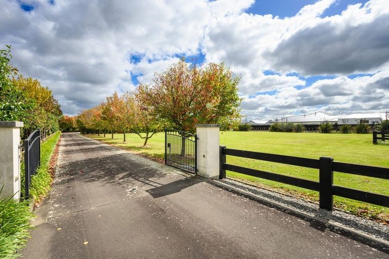Photo of property in 105 Pharazyn Street, Feilding, 4702