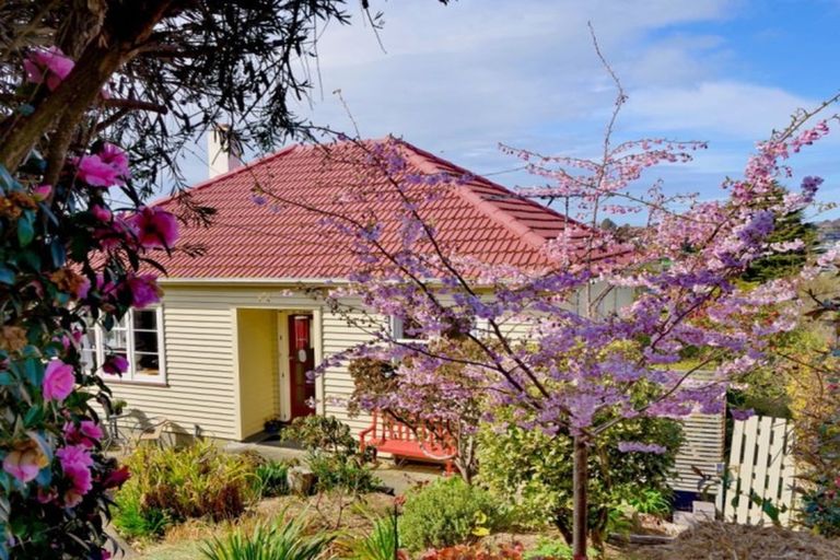 Photo of property in 42 Prospect Bank, Wakari, Dunedin, 9010
