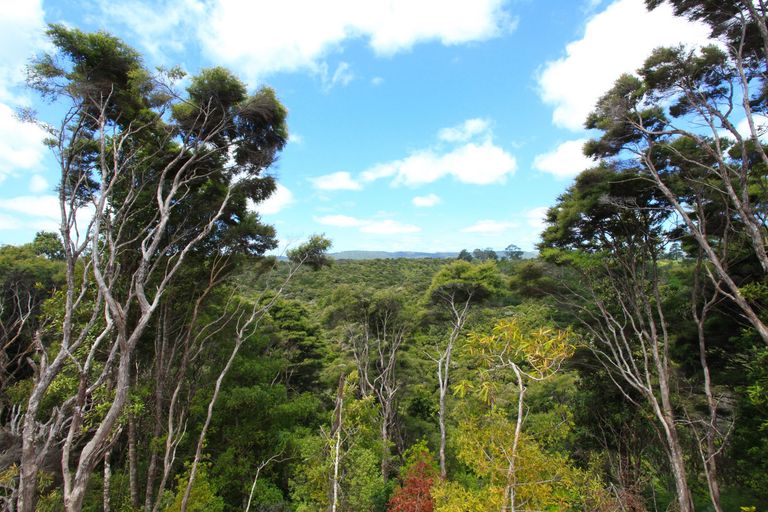 Photo of property in 1024 Ohautira Road, Waingaro, Raglan, 3295