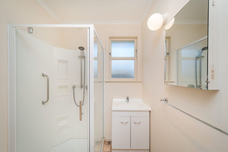 Photo of property in 144 Limbrick Street, Terrace End, Palmerston North, 4410