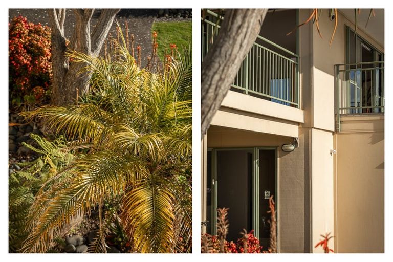 Photo of property in 224 Thames Coast Sh25 Road, Ngarimu Bay, Thames, 3575