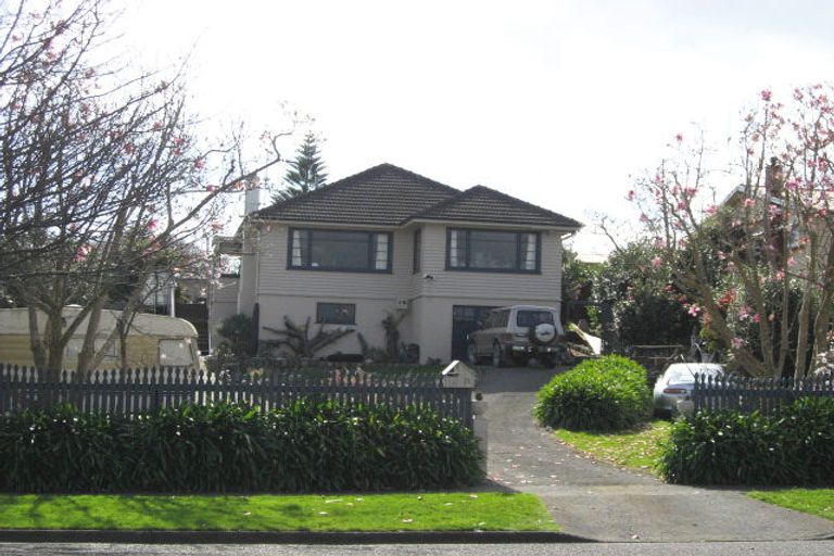 Photo of property in 11 Manchester Street, Levin, 5510