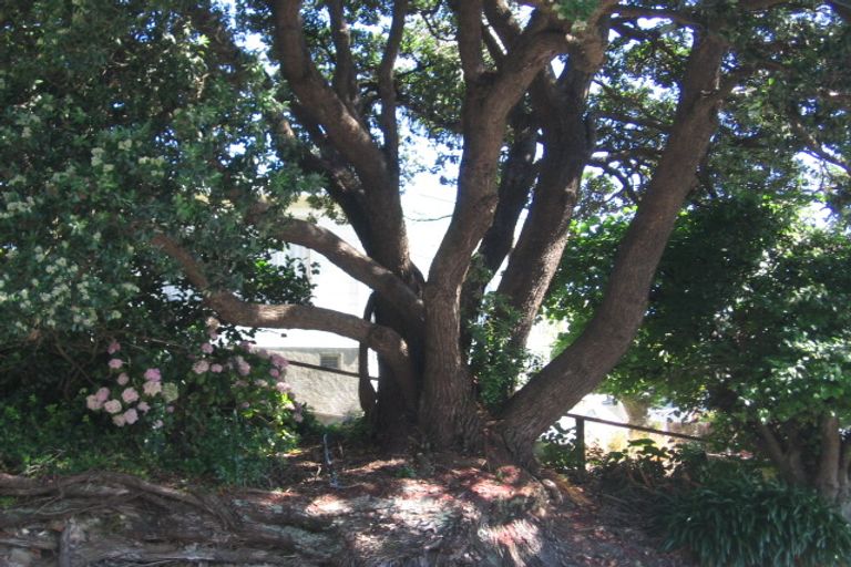Photo of property in 98 Majoribanks Street, Mount Victoria, Wellington, 6011