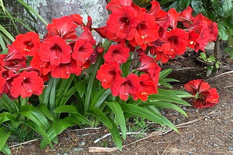 Photo of property in 1665 Matapouri Road, Matapouri, Whangarei, 0173