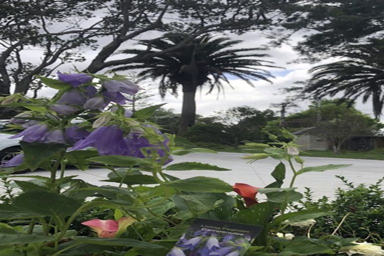 Photo of property in 283 Old North Road, Kumeu, 0892