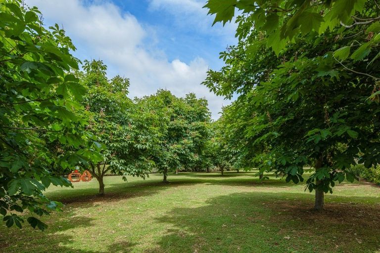 Photo of property in 7 Dry Hills Rise, Riverlands, Blenheim, 7274