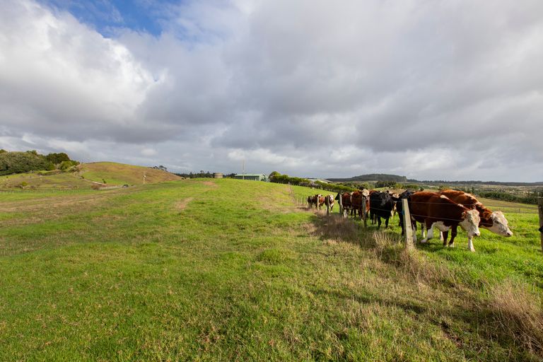Photo of property in 127a Oruawharo Road, Topuni, Wellsford, 0975