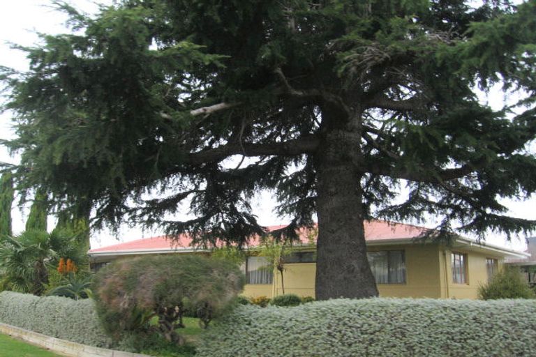 Photo of property in 28 Chester Street, Taradale, Napier, 4112