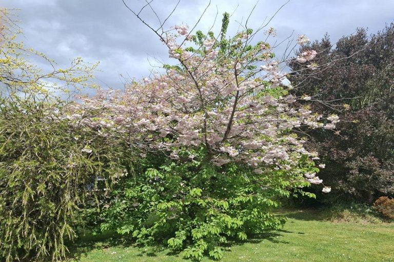 Photo of property in 65 Rhodes Street, Waimate, 7924