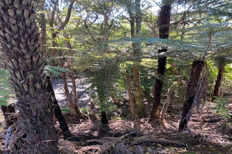 Photo of property in 22 Te Tuhi Road, Raglan, 3297