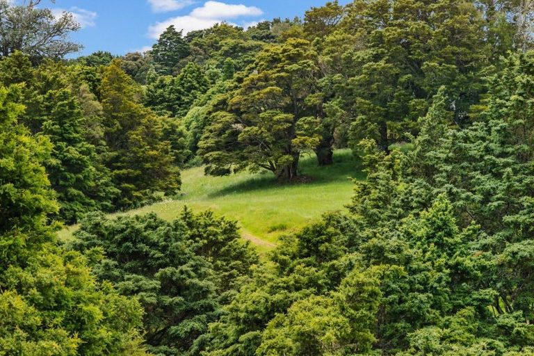 Photo of property in 76 Forest View Road, Te Kamo, Kamo, 0185