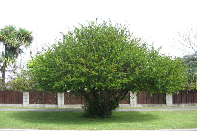 Photo of property in 160 Whitaker Street, Whataupoko, Gisborne, 4010