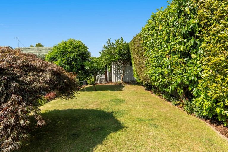 Photo of property in 29 Beaumaris Boulevard, Bethlehem, Tauranga, 3110