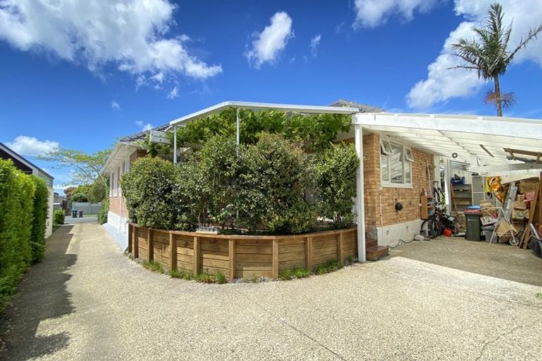 Photo of property in 8 Lynch Street, Point Chevalier, Auckland, 1022