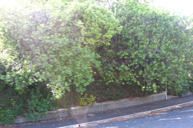 Photo of property in 49 Mechanic Street, North East Valley, Dunedin, 9010