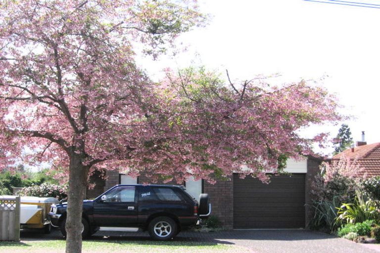 Photo of property in 98a Parawai Road, Ngongotaha, Rotorua, 3010