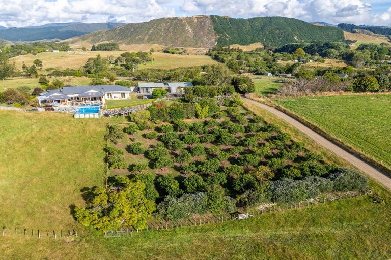 Photo of property in 101 Forest Lakes Road, Otaki, 5583