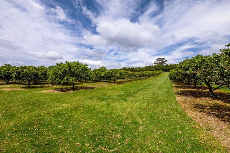 Photo of property in 174 Puketotara Road, Waipapa, Kerikeri, 0295