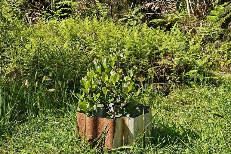 Photo of property in 215 Clifton Road, Kaiata, Greymouth, 7805