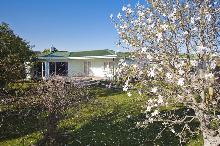 Photo of property in 21 Turenne Street, Inner Kaiti, Gisborne, 4010