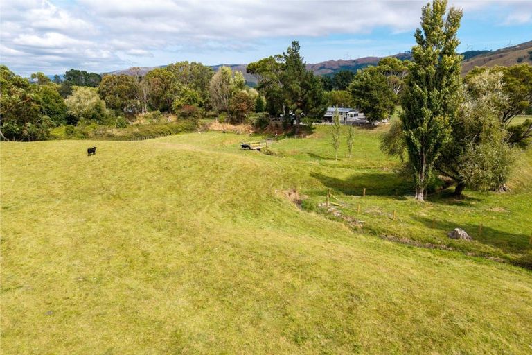 Photo of property in 61 Franklin Road, Woodville, 4999