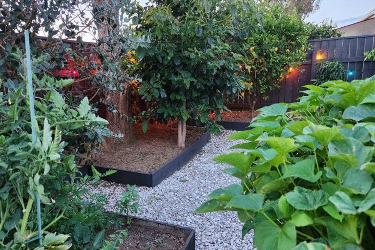 Photo of property in 164 Tukapa Street, Westown, New Plymouth, 4310