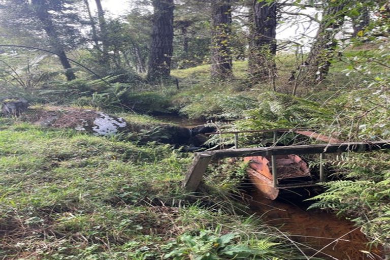 Photo of property in 397 Ruapuke Road, Raglan, 3296